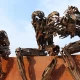 كيفية التعرف على التنوع الثقافي من خلال الفن المعاصر
