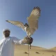 كيفية الاستعداد لمغامرة في الصحاري العربية