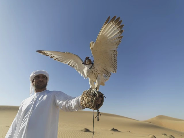 كيفية الاستعداد لمغامرة في الصحاري العربية