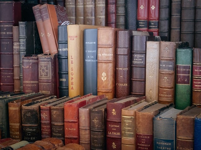 استراتيجيات للتعرف على الثقافات من خلال الأدب