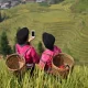 كيف تساهم السينما في تعزيز حقوق الأقليات