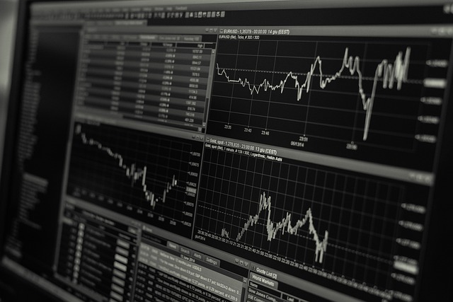 كيفية استكشاف مجالات العمل الجديدة في الاقتصاد الرقمي