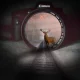 كيفية إدارة المال عند العمل عن بُعد في بلد آخر