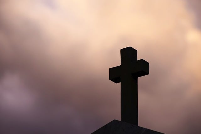 تأثير الفنون الموسيقية على التواصل بين الثقافات