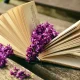 استراتيجيات لتحسين الحياة اليومية من خلال النشاطات
