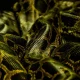 أفضل النصائح لتعلم تقنيات البرمجة باستخدام Python