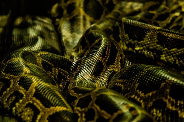 أفضل النصائح لتعلم تقنيات البرمجة باستخدام Python