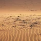 كيف تختار أفضل دراجة نارية للرحلات الصحراوية؟