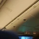 كيفية الاستمتاع بجولات في الطبيعة خلال فصل الصيف