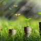 كيف سيساهم الاقتصاد الأخضر في تعزيز صناعة السيارات؟