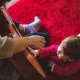 أفضل قنوات اليوتيوب لتعلم الموسيقى