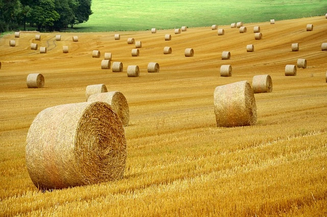 أفضل الوجهات العالمية لتعلم الزراعة البيئية