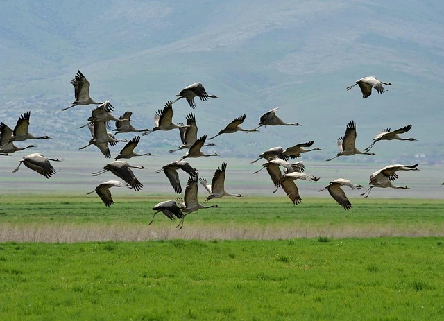 تجارب خاصة عن أنماط الحياة الصحية من الشباب المغتربين