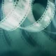 السينما الإنجليزية: تأثير الأدب على الأفلام
