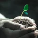 أفكار لتحسين نوعية الحياة