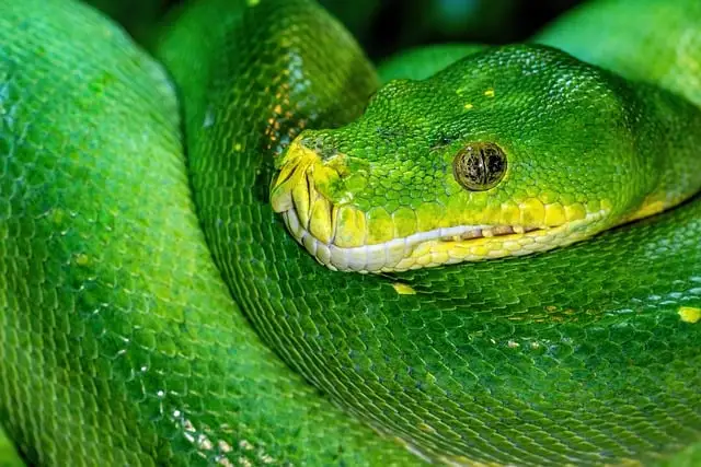 إرشادات عملية لتحسين مهارات البرمجة لديك باستخدام Python