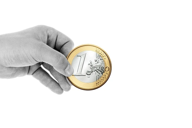 كيفية دعم المشاريع البيئية من خلال التبرعات والتطوع