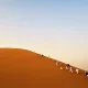 كيفية الاستعداد لرحلة إلى الصحراء الكبرى