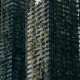 طرق لجعل الحياة اليومية أكثر استدامة وصحة