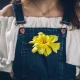 كيف تؤثر العادات الغذائية على الصحة العامة