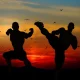 أفضل الأنميات التي تتناول موضوعات الفنون القتالية