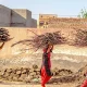 كيفية استخدام الذكاء العاطفي في العمل والحياة