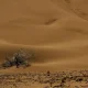 العراق وإيران الأكثر تضرراً من النشاط الزلزالي في فبراير