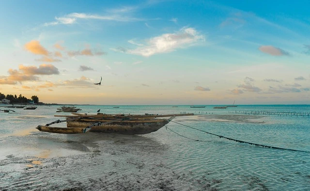 كيفية قضاء عطلة مليئة بالمغامرات في زنجبار