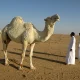 السيارات الكهربائية: هل هي المستقبل في السعودية؟