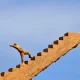 العمل في الخارج: كيفية التغلب على التحديات الثقافية