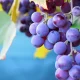 طرق فعّالة للتغلب على الكسل وزيادة الحماس