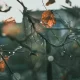 كيف تؤثر الأفلام على المفاهيم الجمالية