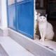 كيفية التخطيط لرحلة بحرية عبر الجزر اليونانية