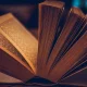 المانجا كوسيلة للابتكار: كيف نتعلم من القصص