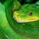 كيف تطور مهاراتك في البرمجة باستخدام Python على الإنترنت؟