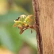 أفكار لجعل كل يوم فرصة جديدة للتعلم
