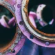 أهمية تعلم لغات البرمجة الحديثة مثل Rust وGo