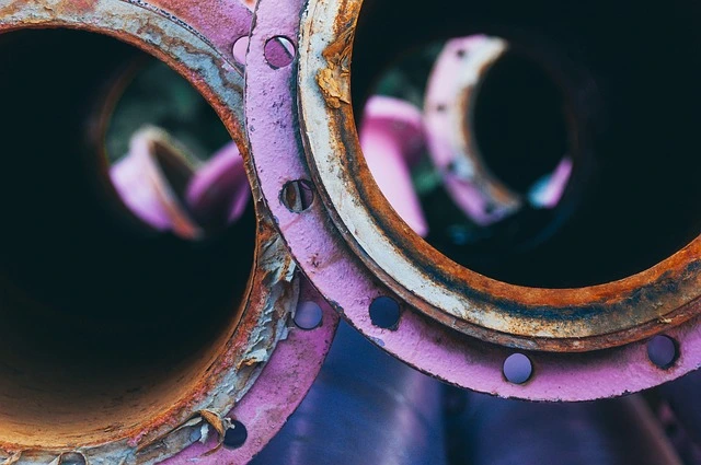 أهمية تعلم لغات البرمجة الحديثة مثل Rust وGo