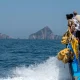 فرص العمل في مجالات السياحة والسفر العالمية