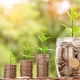 كيفية التعرف على القيم الإنسانية المشتركة عبر الثقافات