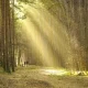 تأثير الموسيقى على العلاقات الدولية