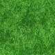 أفضل النصائح للسفر بأسلوب صديق للبيئة