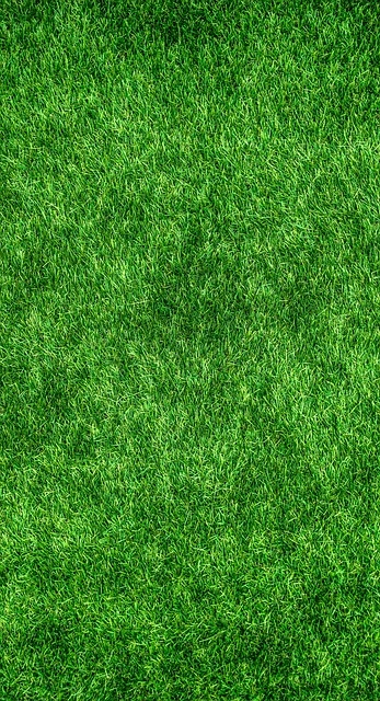 أفضل النصائح للسفر بأسلوب صديق للبيئة