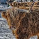 كيفية الاستفادة من التكنولوجيا لتعزيز الابتكار