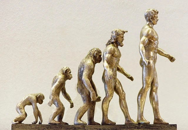 كيفية تعزيز التفاهم بين الأجيال المختلفة