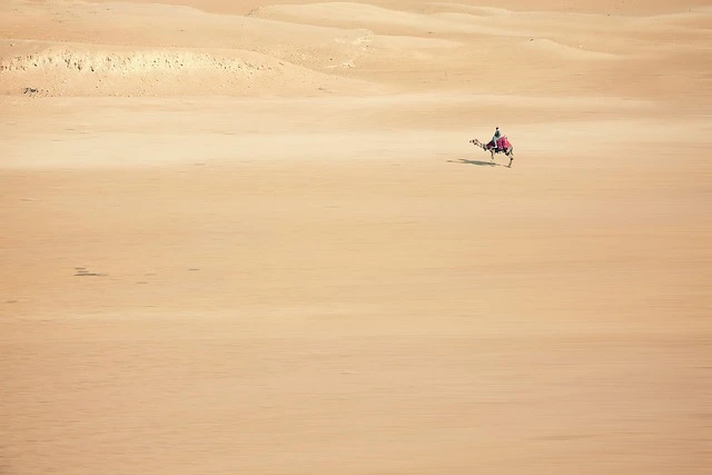 أفضل دراجات نارية للمغامرات الصحراوية
