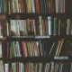 استكشاف الأنمي المقتبس من الروايات الأدبية