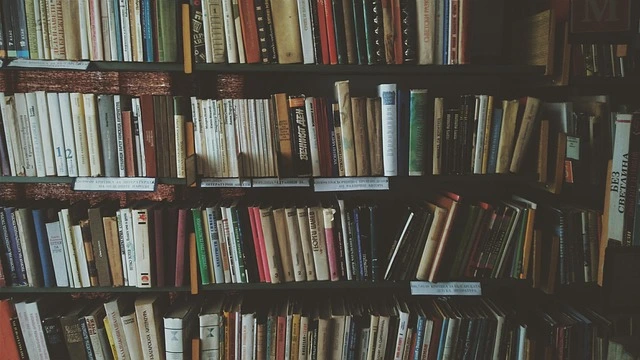استكشاف الأنمي المقتبس من الروايات الأدبية