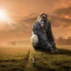 تأثير التكنولوجيا على تجربة الأحلام لدى الشباب